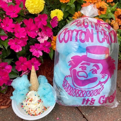 COTTON CANDY SUNDAE - Soft vanilla custard topped with a sugar cone, real cotton candy with rainbow sprinkles.